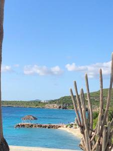 una playa con un cactus y una pequeña isla en el agua en Ocean Front VillaDelMar-Beach Access-Private Pool-10 Guests- en Willibrordus