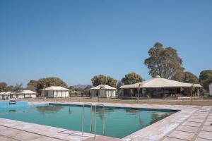 a swimming pool with umbrellas and a building with at Jawai Empire Resort by Premier Hotels in Pāli