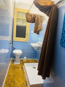 a blue bathroom with a toilet and a sink at Centro Ciudad apartamento entero in Alicante