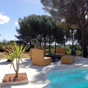 a patio with chairs and a palm tree next to a pool at "Le Mas" Les jardins de Tourneige in Maraussan