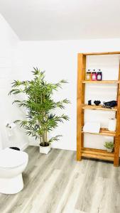a bathroom with a toilet and a potted plant at Area Surf House in Muros