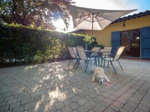 Domácí mazlíčci ubytovaní s hosty v ubytování Locanda dei Sette Limoni - camere e residence