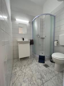 La salle de bains est pourvue de toilettes, d'une douche et d'un lavabo. dans l'établissement House Elza, à Ljubljana