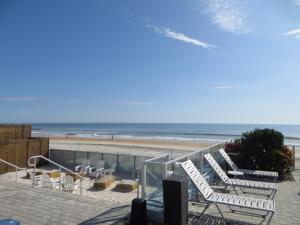 a group of lounge chairs on the beach at Lotus Boutique Inn and Suites in Ormond Beach