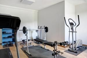 un gimnasio con máquinas de correr y TV de pantalla plana en La Corte di Langa Casa Ametista, en Albaretto Della Torre 