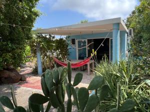 une maison avec un hamac en face de celle-ci dans l'établissement Tropical Breeze "Dushi Bida", à Santa Catharina