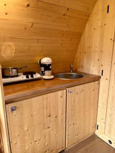 eine Küche mit einem Waschbecken in einer Holzhütte in der Unterkunft Gold Camping Seeboden in Seeboden