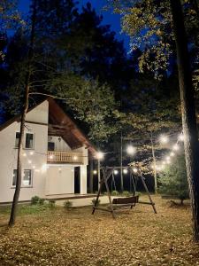 a swing in front of a house at night at Leśnisko in Jerutki