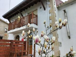 a tree with white flowers in front of a building at Casuca El Trisquel - 18002 in Bareyo