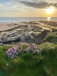 a field of flowers in the grass near the ocean at Pentire Coastal Holiday Park in Bude