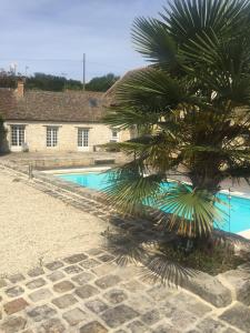 una palmera frente a una casa con piscina en LE MOULIN DE TANQUEUX, en Cerny