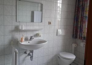a bathroom with a sink and a toilet and a mirror at Schwäbischer Hof in Markgröningen