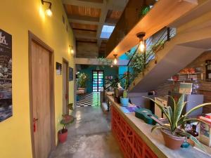 Kép Imagine hostel szállásáról Santa Martában a galériában