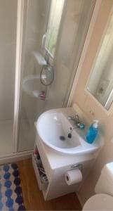 a white bathroom with a sink and a shower at Whitley bay caravan retreat in Whitley Bay