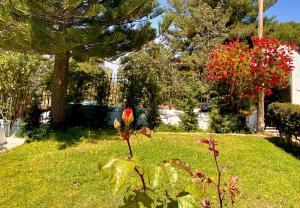 A garden outside Villa Naya by the Beach