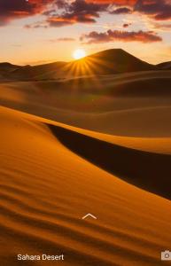 a desert sunset in the sahara desert at Hotel Riad Le Petit Prince in Merzouga