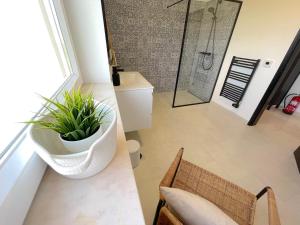 ein Badezimmer mit Dusche und Topfpflanze in der Unterkunft Villa Flores in Carvoeiro + 65 Fotos