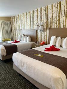 um quarto de hotel com duas camas com arcos vermelhos em Bar Harbor Motel em Bar Harbor