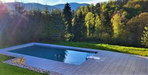 a swimming pool in the middle of a field at Loft Rezidence Vista in Rokytnice nad Jizerou