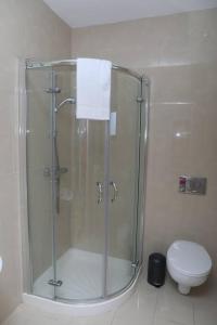 y baño con ducha y aseo. en Luxury Three Bedroom Apartment Foxford County Mayo en Foxford