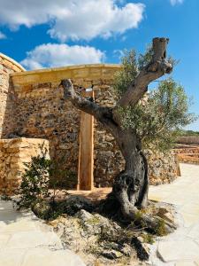 Fotografie z fotogalerie ubytování I Trulli di Giorgia v destinaci Torre Suda