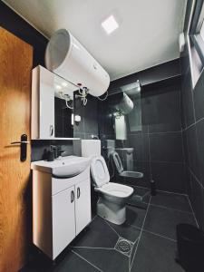 a bathroom with a toilet and a sink and a mirror at Fern Farm Tiny Home in Mojkovac