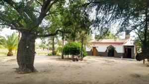 Κήπος έξω από το Your Rest