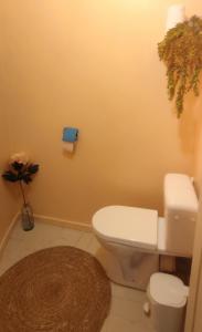 a bathroom with a white toilet and a rug at T3 avec sa terrasse au cœur du village médiéval in Sauzet