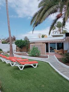 a row of lounge chairs on the grass in front of a house at Granada playa! in Maspalomas