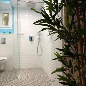 ein Bad mit einer Dusche und einer Pflanze in der Unterkunft Honey Spa in Vitrolles