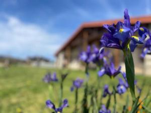 Zahrada ubytování Ven y disfruta en el corazón de Bizkaia-Urdaibai LBI00509