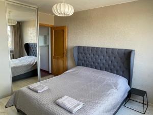 a bedroom with a king sized bed and a mirror at Central place with lake view in Šiauliai