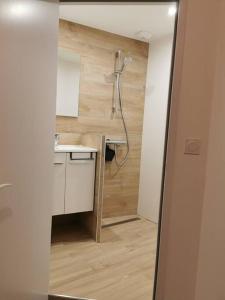 ein Bad mit einer Dusche und einem Waschbecken in der Unterkunft Appart43m² Proche Gare et Centre in Cholet