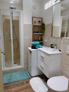Un baño con ducha, inodoro y lavabo. en Six Fours les Plages - Le Brusc - Studio vue mer, climatisé, en Six-Fours-les-Plages