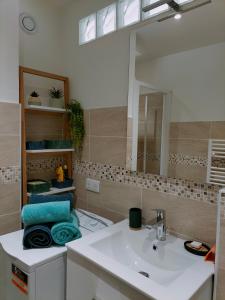 La salle de bains est pourvue d'un lavabo et d'un miroir. dans l'établissement Six Fours les Plages - Le Brusc - Studio vue mer, climatisé, à Six-Fours-les-Plages
