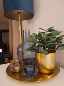 una pianta in vaso su un tavolo accanto a una lampada di Haus Annemiek a Winterberg