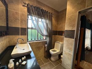 La salle de bains est pourvue de toilettes, d'un lavabo et d'une fenêtre. dans l'établissement ARK Guesthouse, à Potchefstroom
