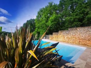 - une piscine avec des plantes à côté d'un mur en pierre dans l'établissement Gîte Les Combes Montignac Lascaux, à Montignac