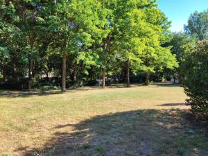 ライプツィヒにあるThe Queens quarterの木々と大草原のある公園