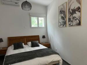 sypialnia z dużym łóżkiem i dwoma oknami w obiekcie T3 avec spa, hyper centre, port w mieście Porto-Vecchio