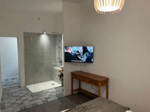 łazienka z telewizorem na ścianie z prysznicem w obiekcie T3 avec spa, hyper centre, port w mieście Porto-Vecchio
