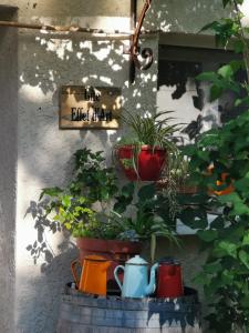 Saint-Privat的住宿－Gîte effet d’art，一组盆栽植物坐在桶上