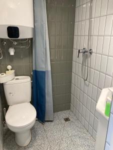 a bathroom with a toilet and a shower at Roland Apartment - PUSKAS in Budapest