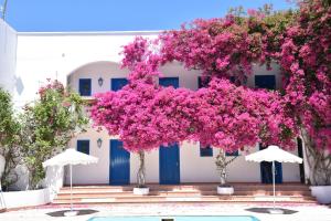 Vrt ispred objekta Boutique Hotel Tilos Mare