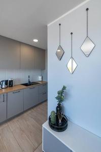 eine Küche mit weißen Schränken und einer Pflanze auf der Theke in der Unterkunft Central 2 BD Apartment by Hostlovers in Kaunas