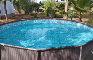 una gran piscina de agua azul en El Paraíso del Olivar, en Bollullos de la Mitación
