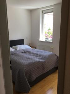 a bedroom with a bed and a window at Earl Grey Apartment Wien in Vienna