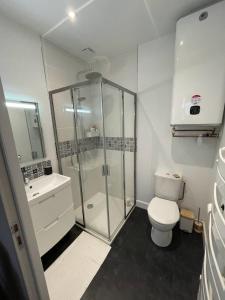 W łazience znajduje się prysznic, toaleta i umywalka. w obiekcie Hysope : Studio aux couleurs toutes douces ! w mieście Bagnères-de-Bigorre