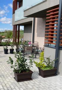 een patio met potplanten en een tafel en stoelen bij Apartmán Diamond 2 in Podhájska