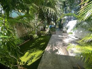 a garden with palm trees and a walk way at House at Centro Histórico with pool in Mérida